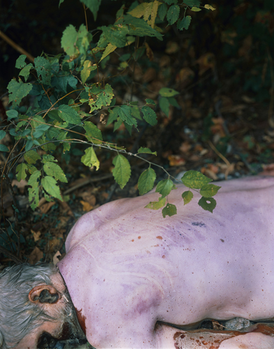 Body Farm Sally Mann