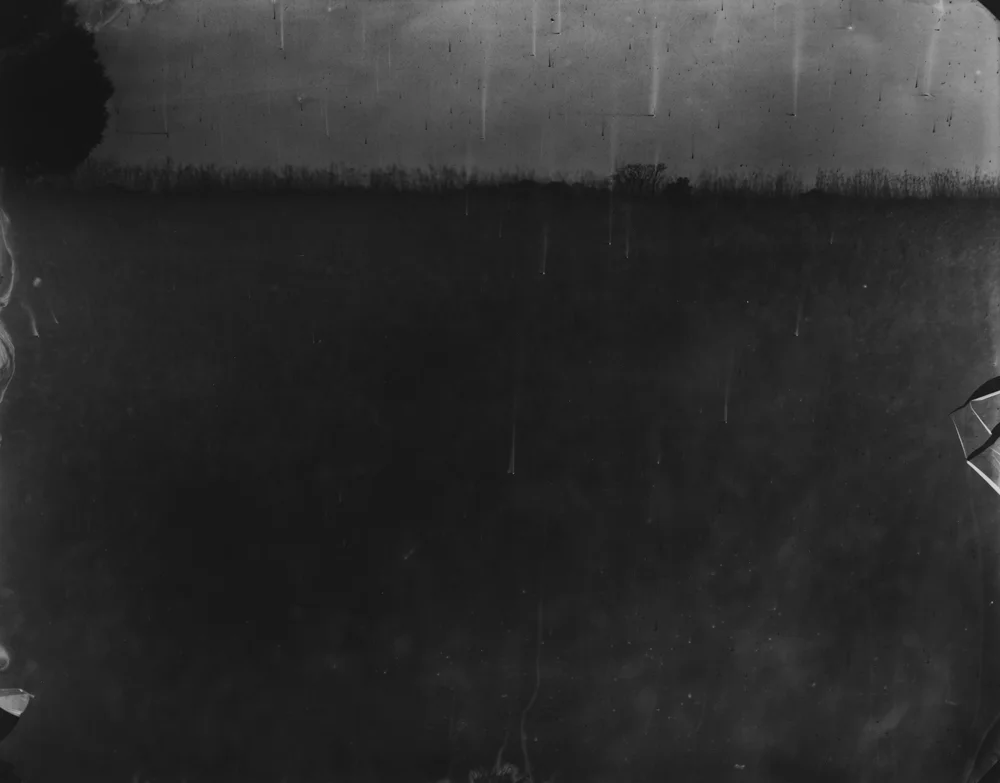 Battlefields,_Antietam_(Cobweb).jpg