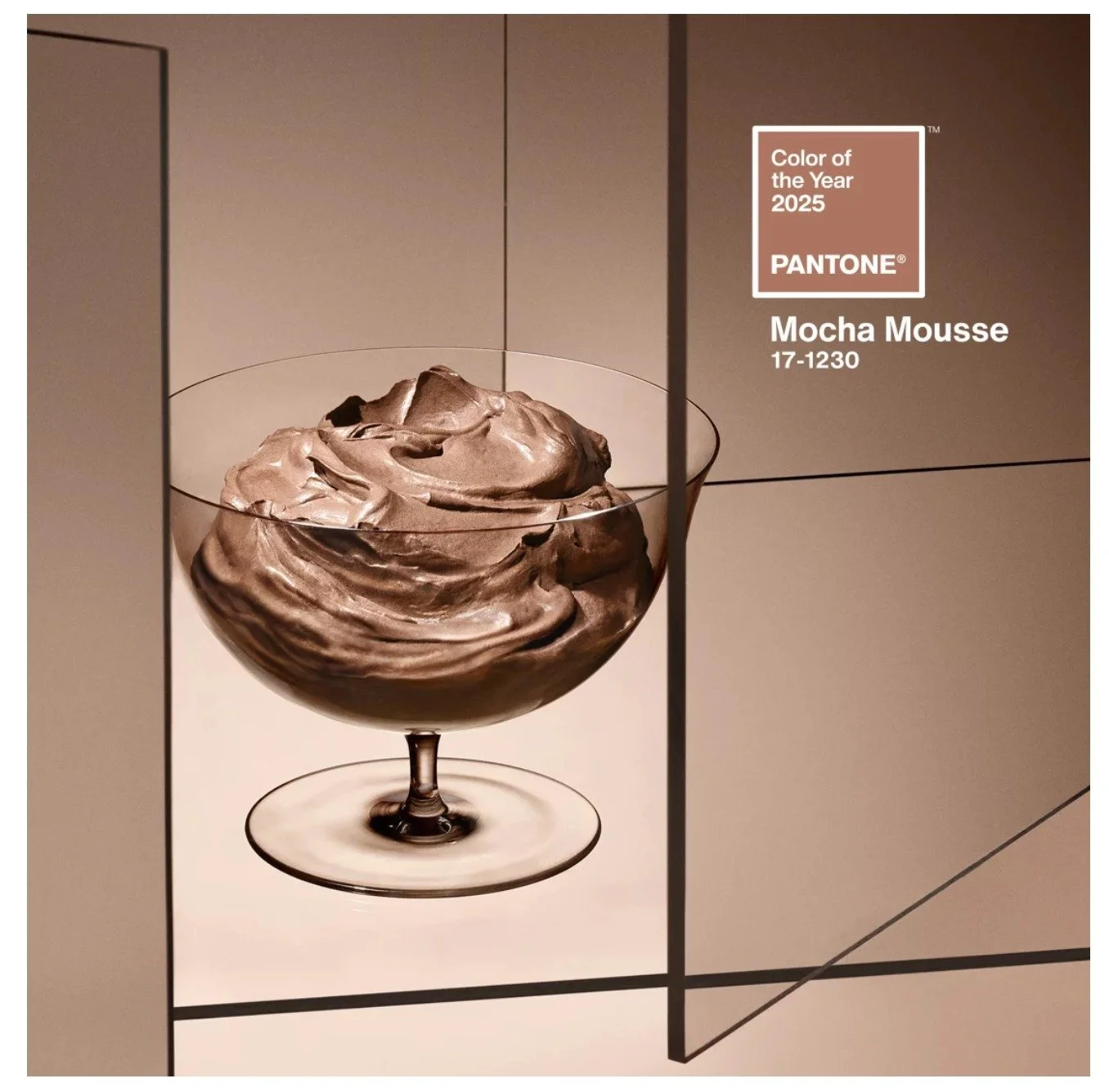 Pantone Color of the year 2025 - PANTONE 17-1230 - As seen at the Chicago Boudoir Photography Studio