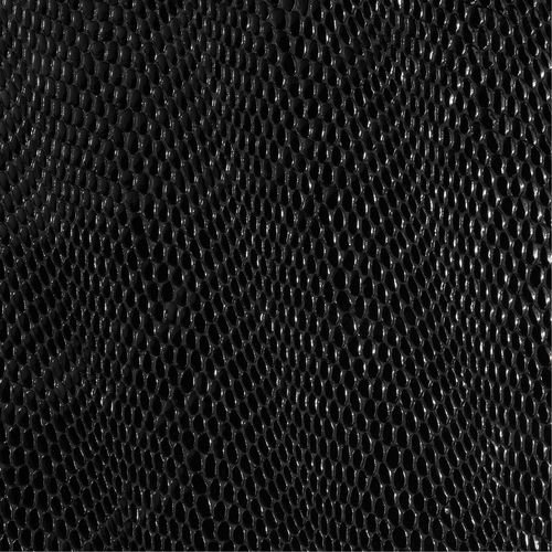 * Black Venom (Black)