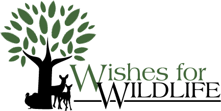  "Their wishes begin with you"