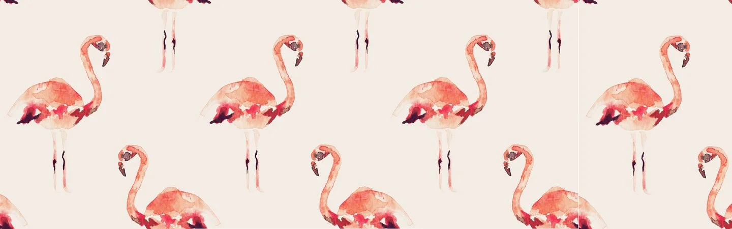 flamingo .jpg