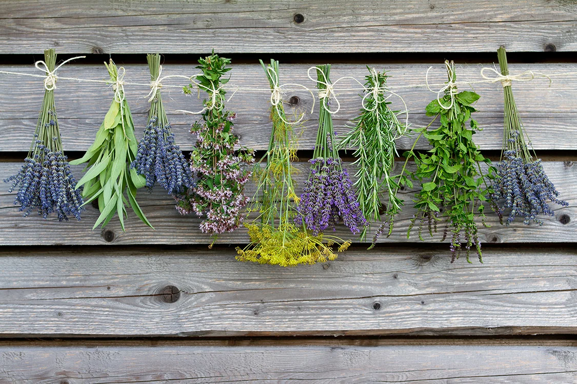 We try to source local and seasonal herbs for our clients whenever possible to achieve quality and flavor.