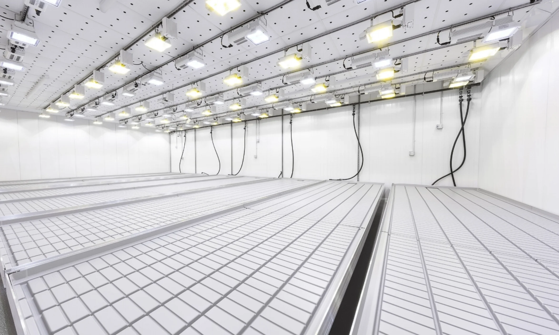 CULTIVATION / One Cultivation Flagship Facility (Taunton, MA)