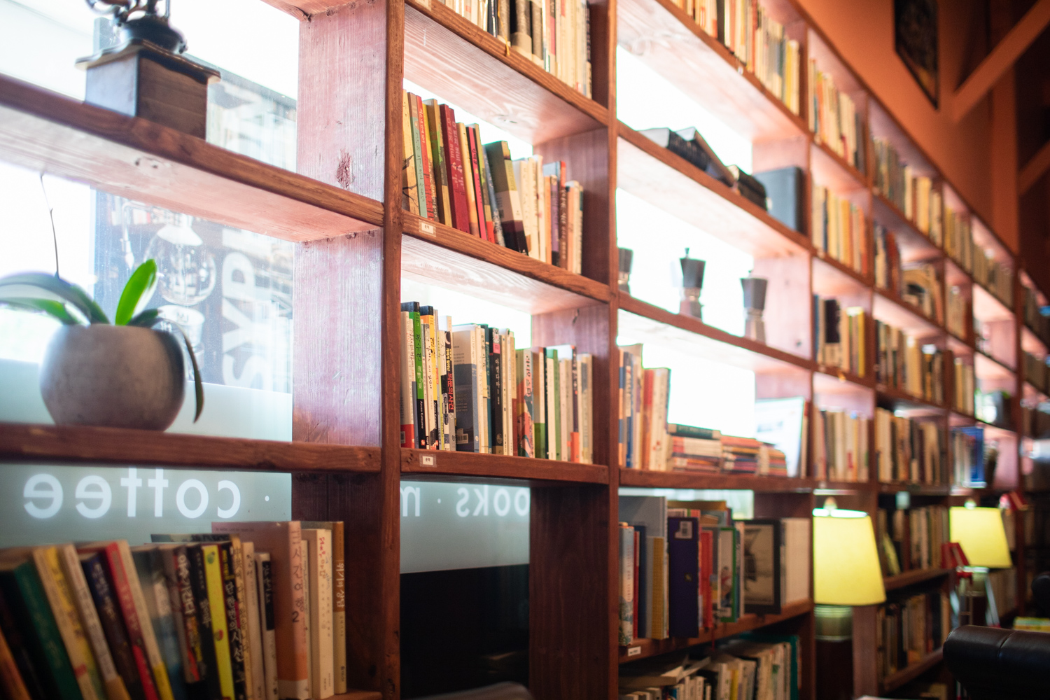 Detail from a bookshelf at Cafe Rothem.
