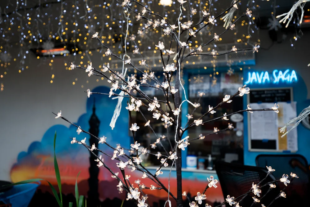 A Hole-In-The-Wall Destination for Taiwanese Chicken and Coffee: Java ...