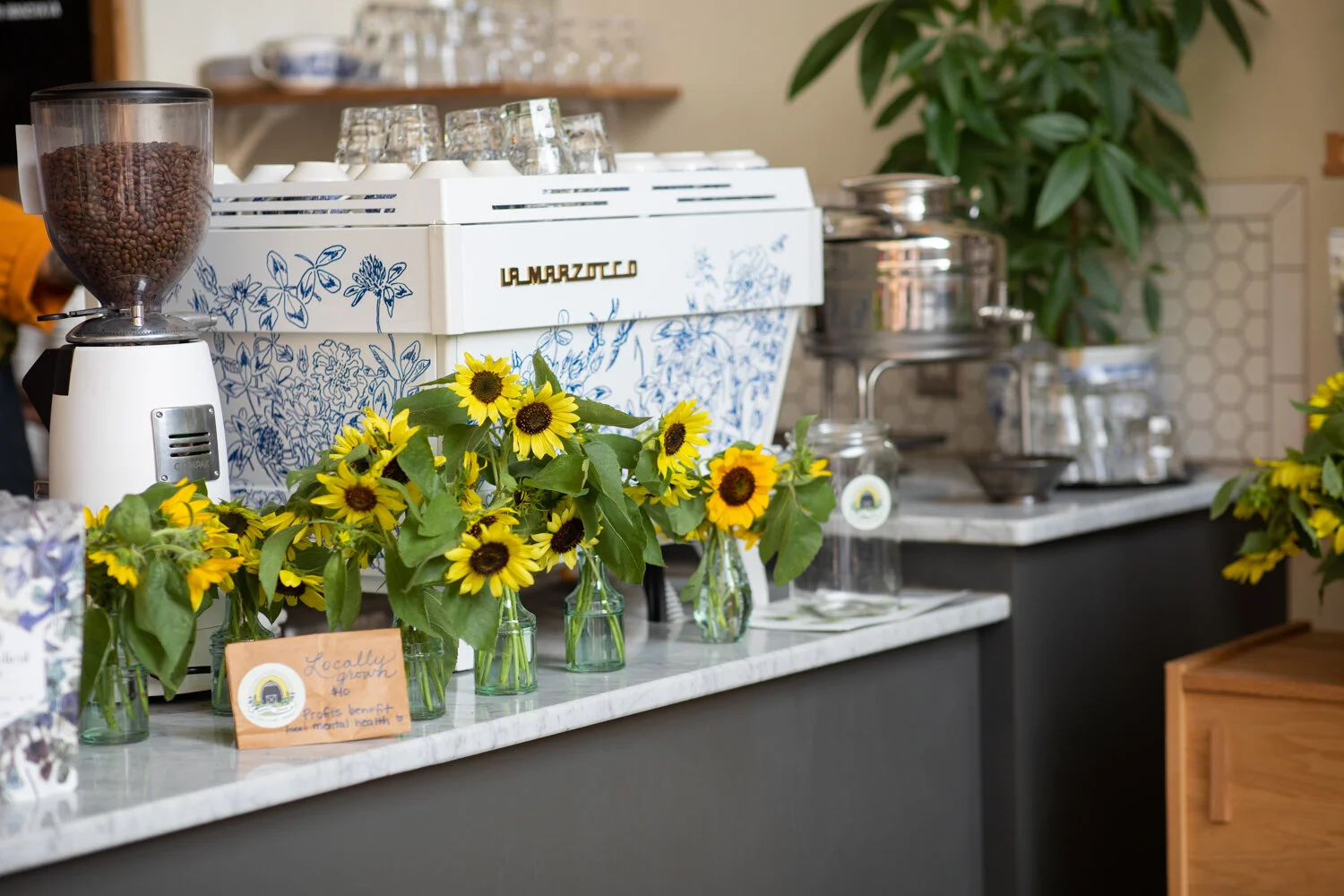 Methodical Coffee Greenville SC Atlanta Coffee Shops Methodical Coffee Greenville SC Atlanta Coffee Shops