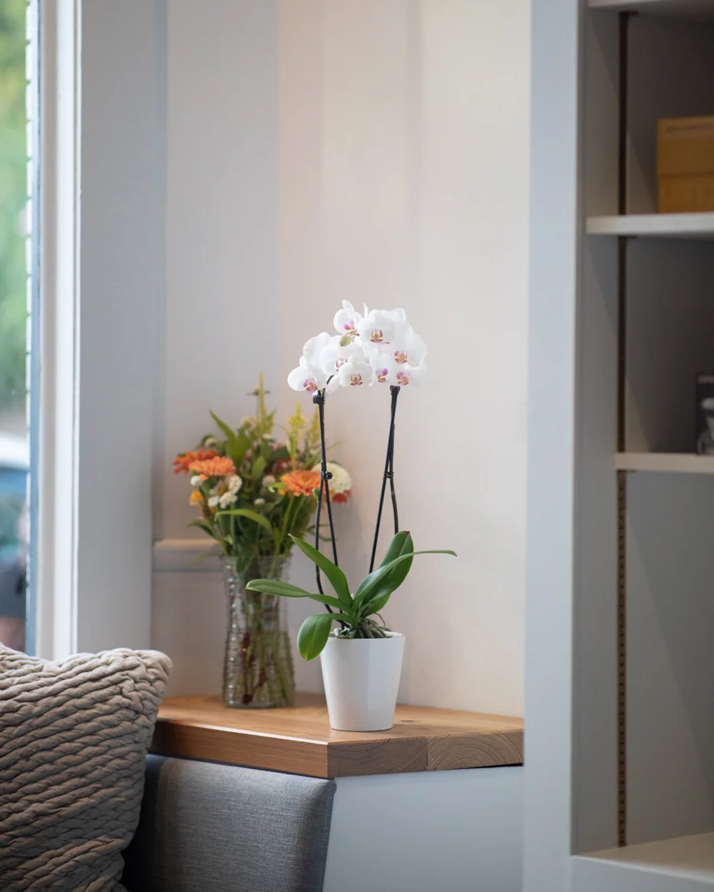 A Family's Labor of Love Kinship + Academy Coffee in VirginiaHighland