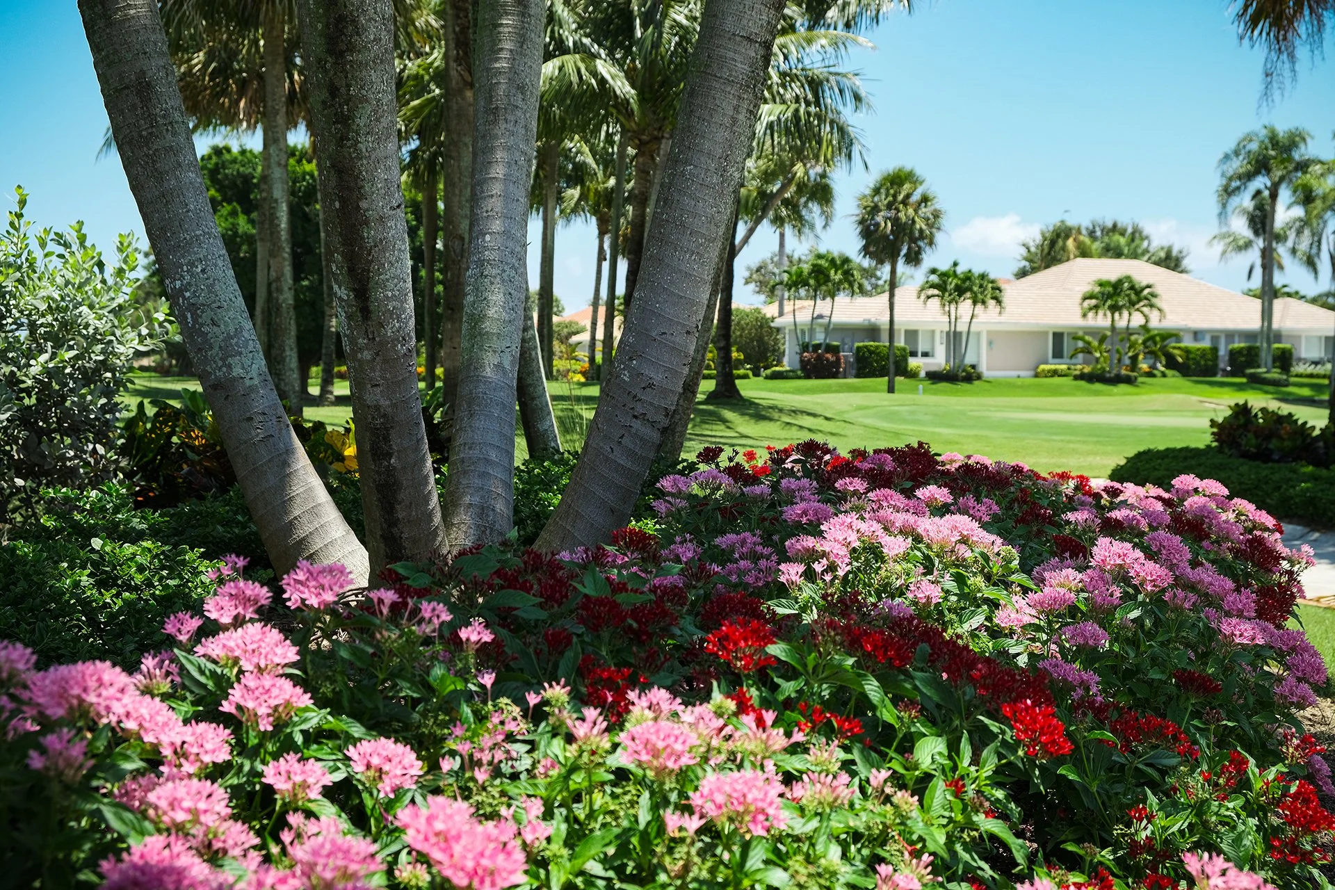 Jonathan's Landing Golf Course5.jpg