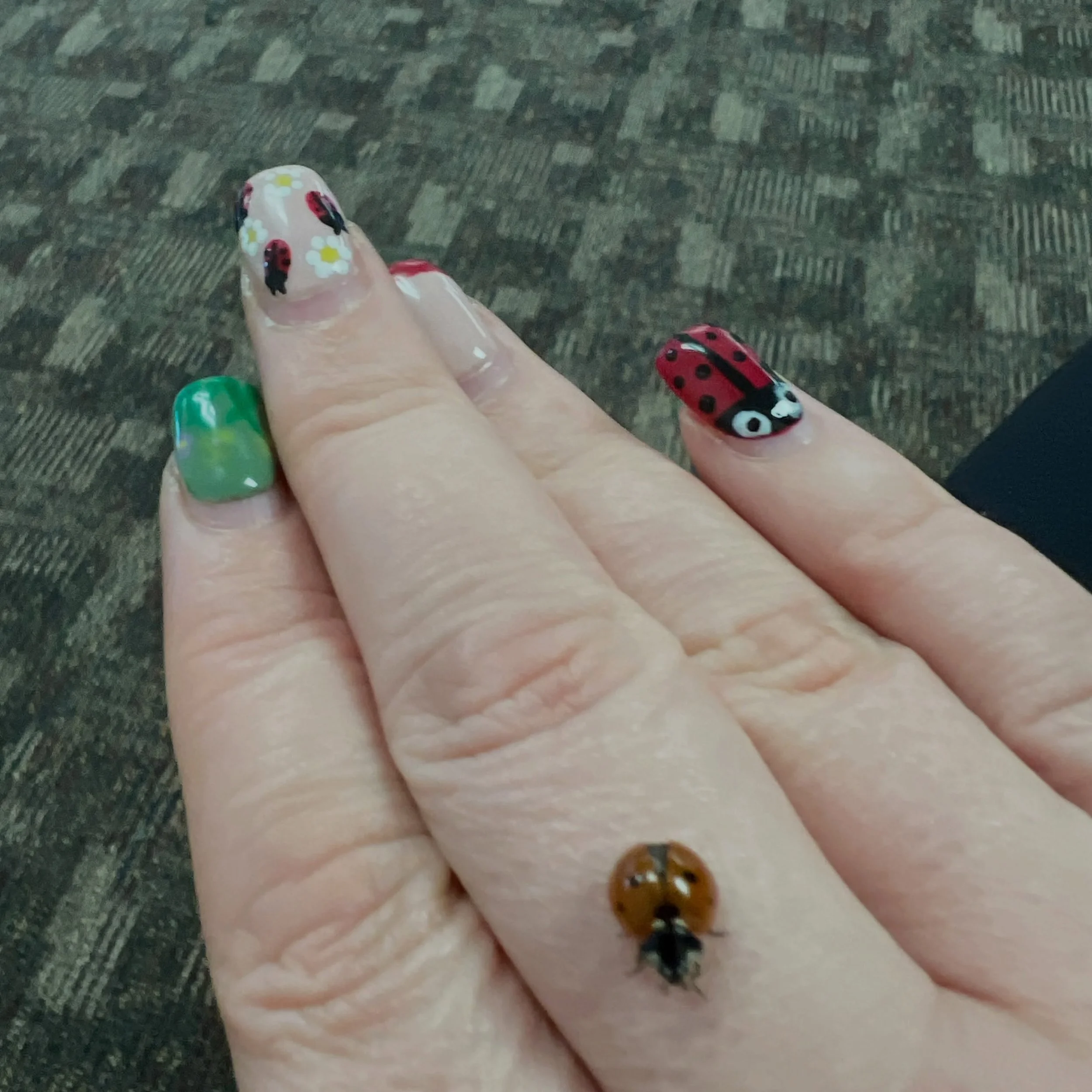 The other day a ladybug visited me, I can only assume as a fan of my nail art. And then she flew away. 😭🐞