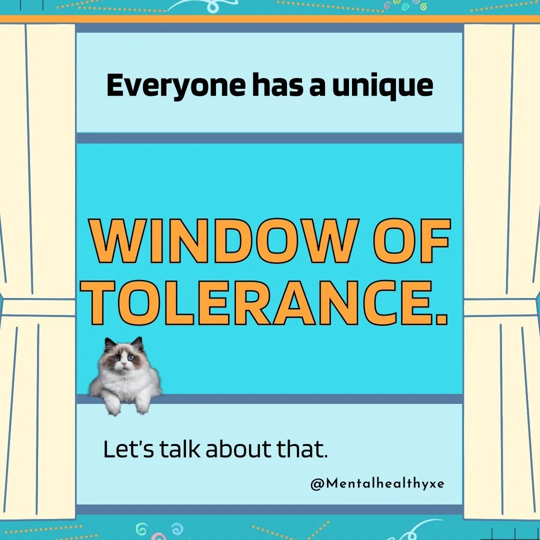 Have you ever heard of The Window of Tolerance?  When I first learned about it I found it super helpful to understand in my context! I&rsquo;d say my window is &ldquo;medium to low&rdquo; on any given day about a 4-6 of 10, if you will, or maybe a ni