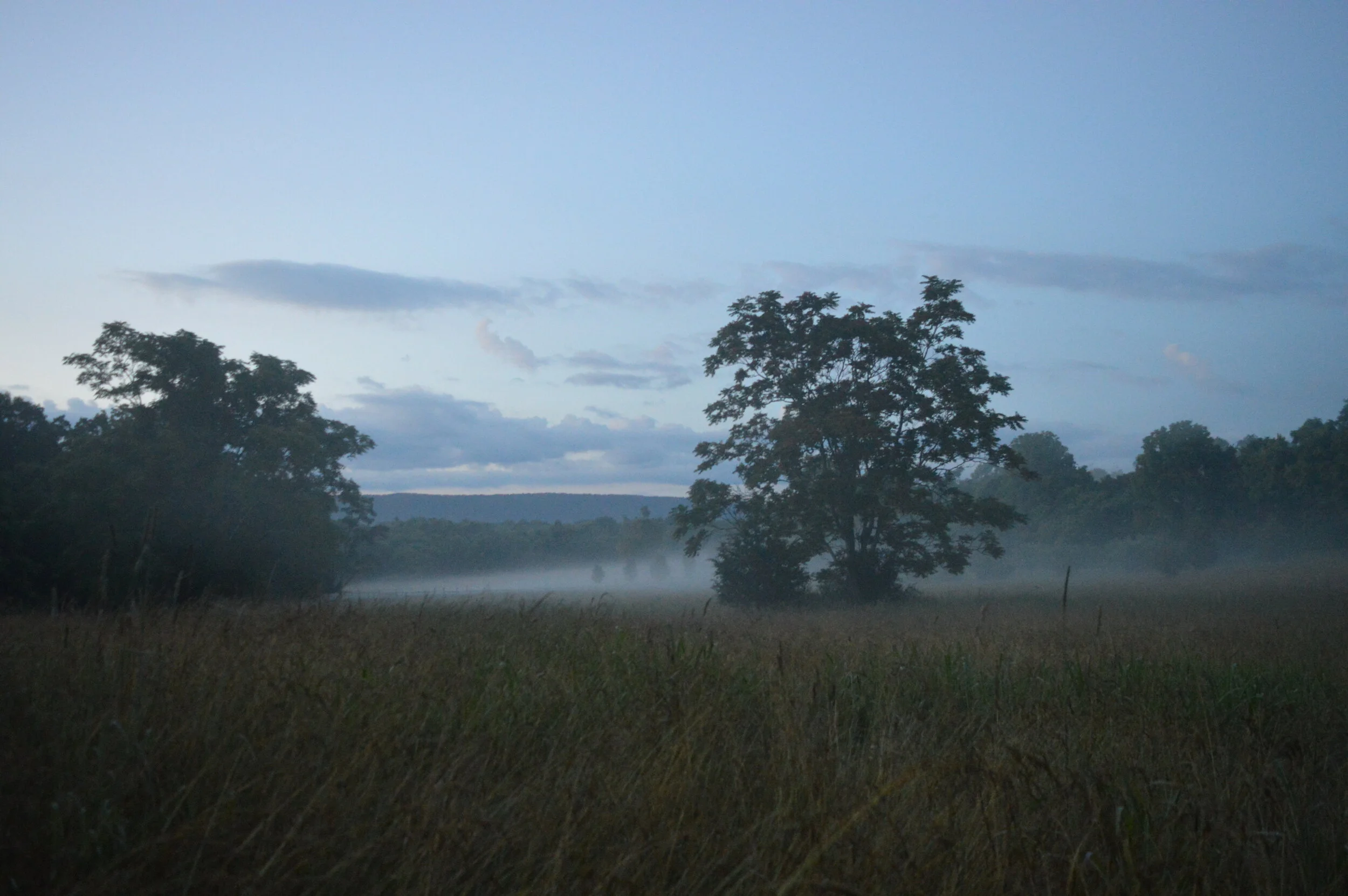 DSC_0071.JPG