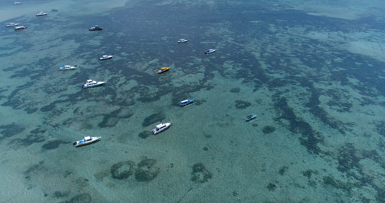 Bali Drone.png