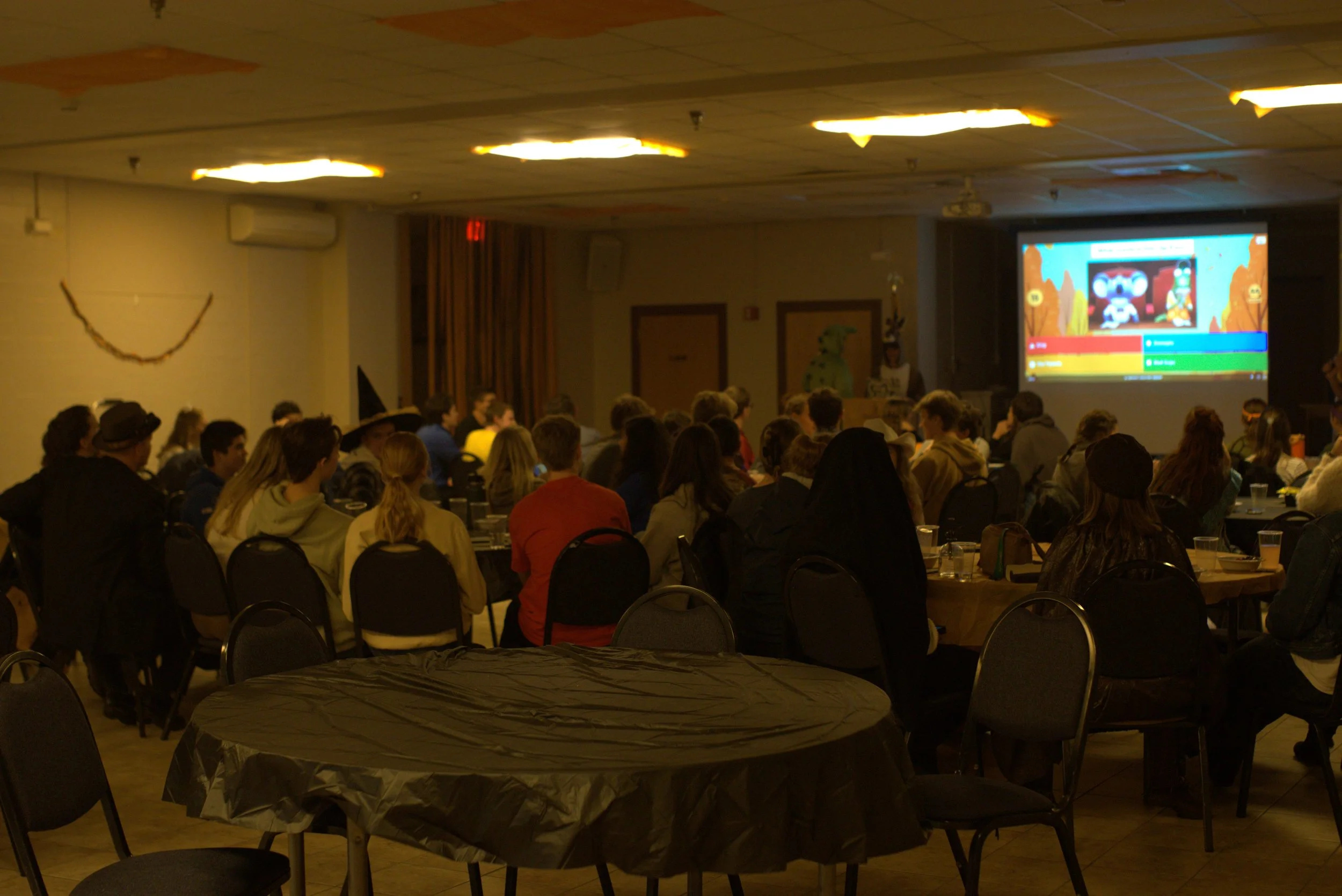 DSC03354 - Compressed.jpg