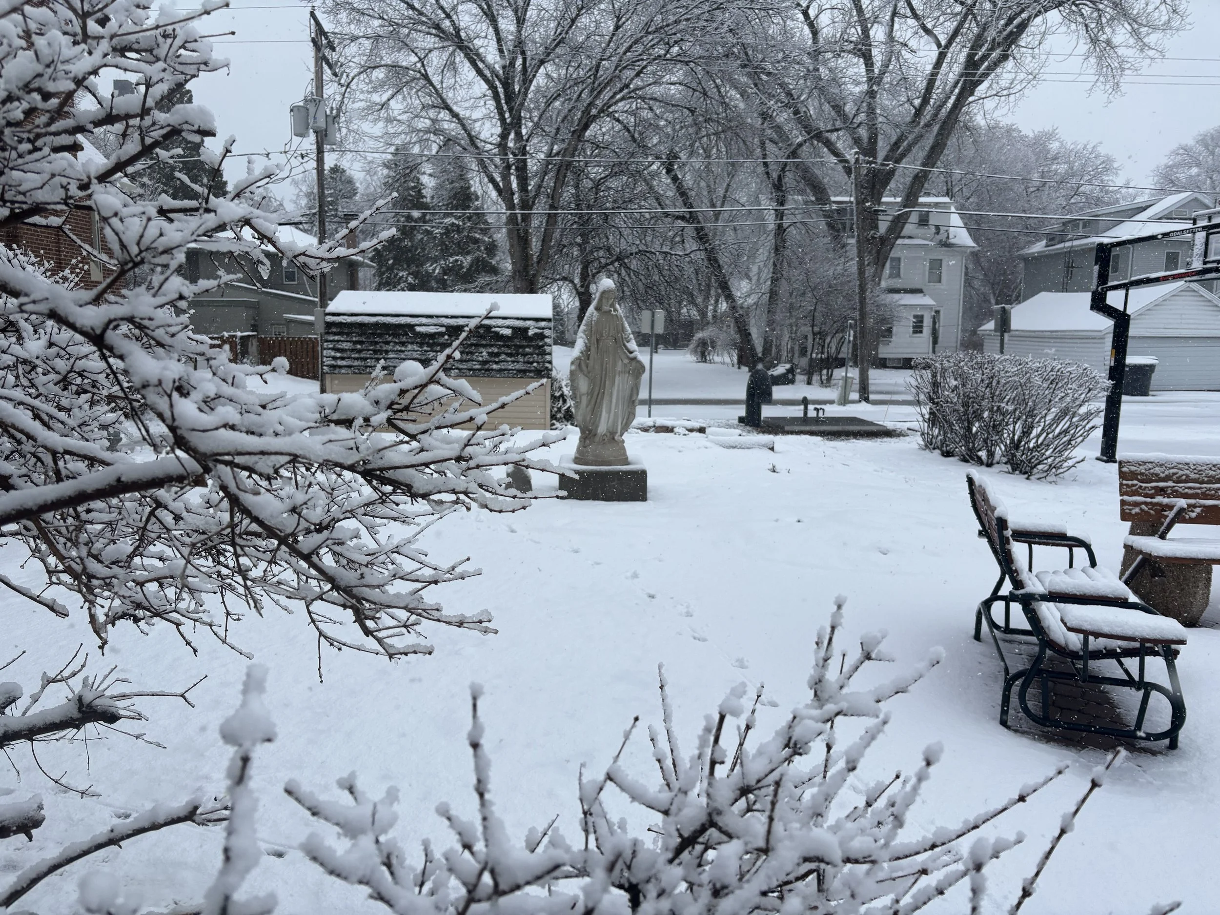 Photo Apr 04 2026, 09 07 02.jpg