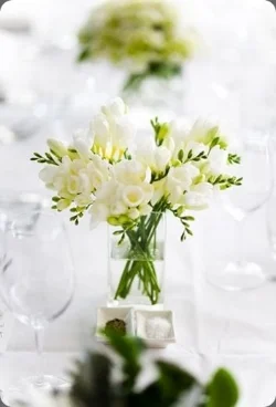 Freesia - Dainty blooms with a delightful grace. Available February - June.