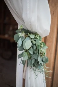 Eucalyptus