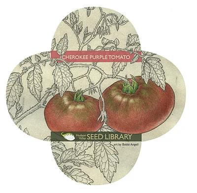 Cherokee-Purple-Tomato.jpg
