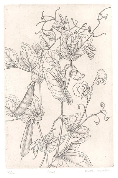 peas-6x9.jpg