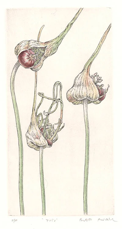 trio-4x8.jpg