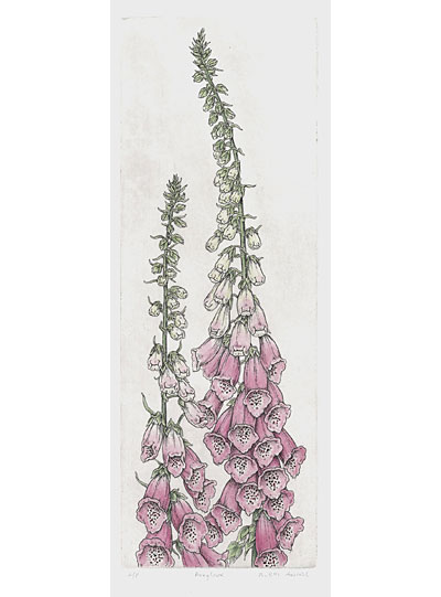 foxgloves-5x14.jpg
