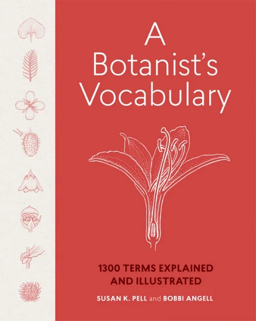 A Botanist's Vocabulary, with illustrations to explain plants