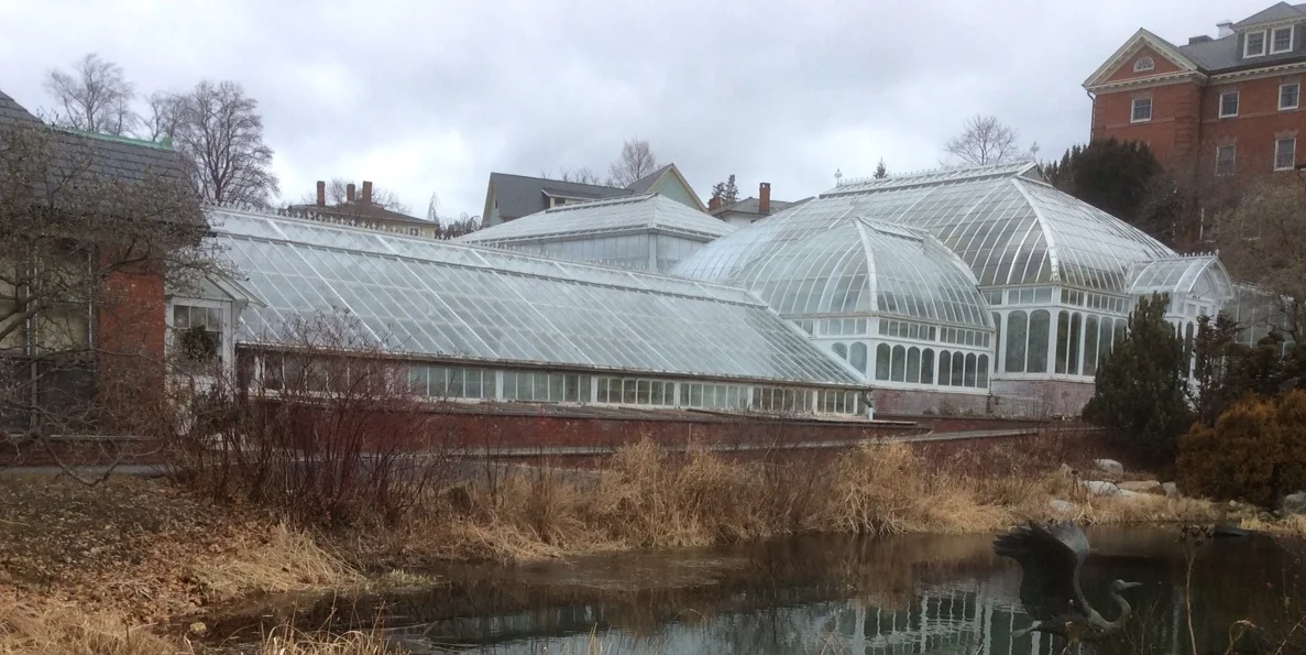 New England Botanical Club workshop at Smith College