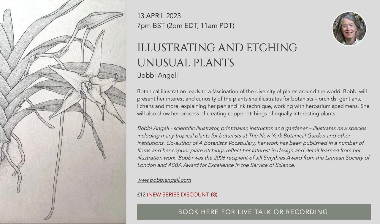 Illustrating and Etching Unusual Plants zoom talk