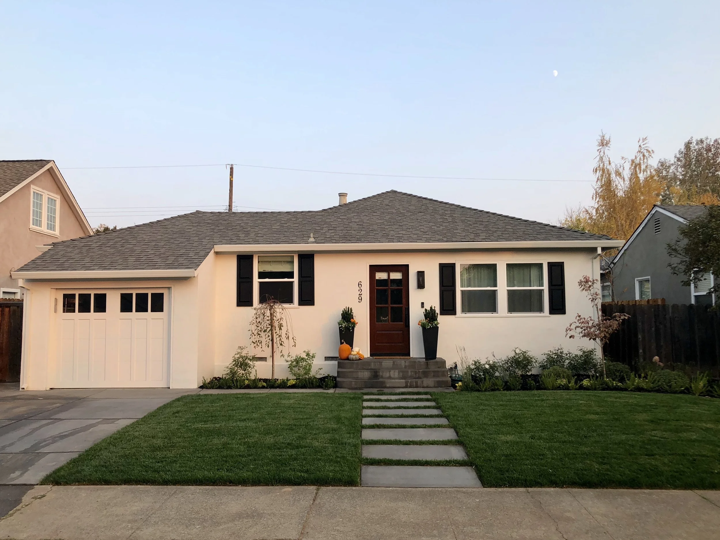 IMG_9982.jpg