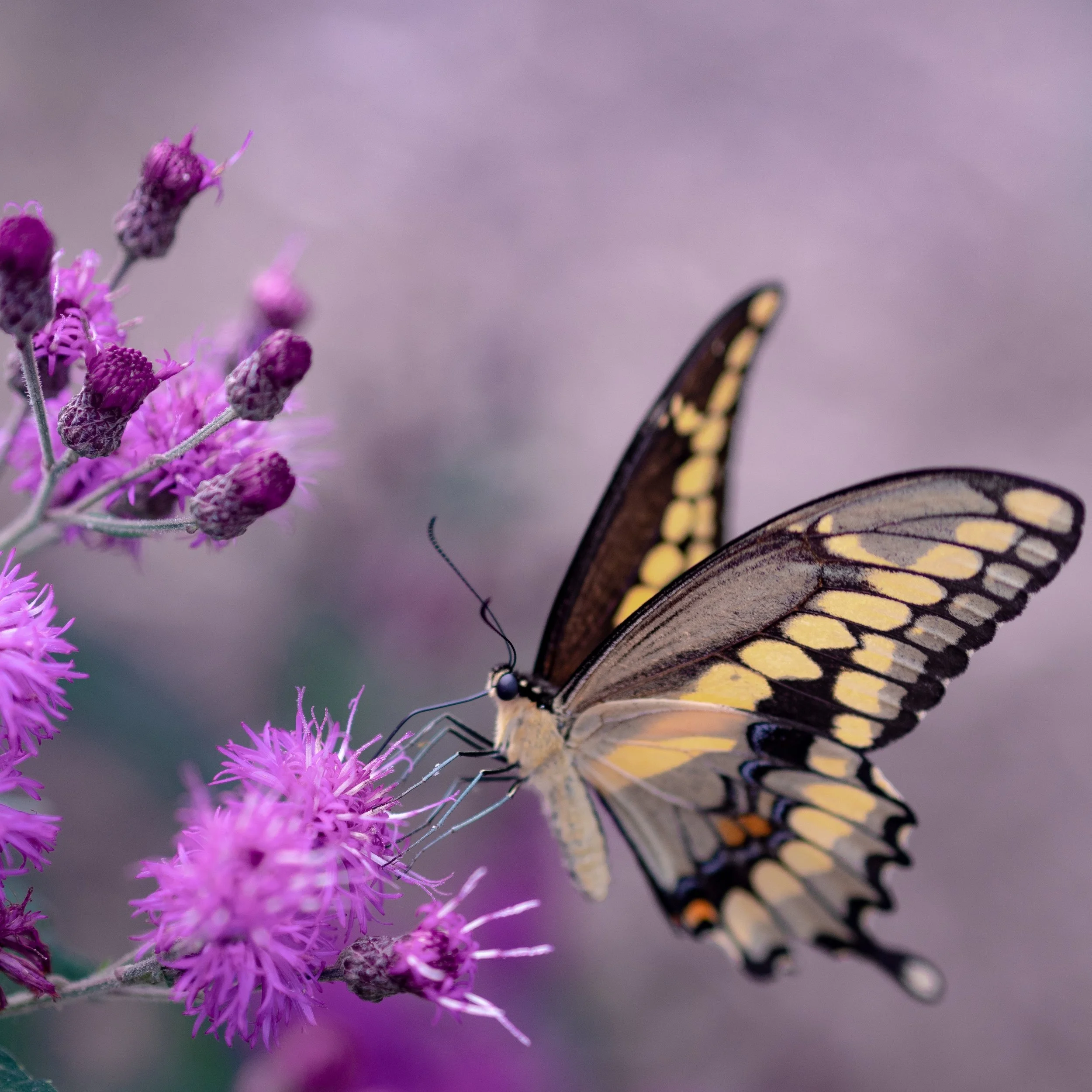 Photo by Aaron Burden on Unsplash