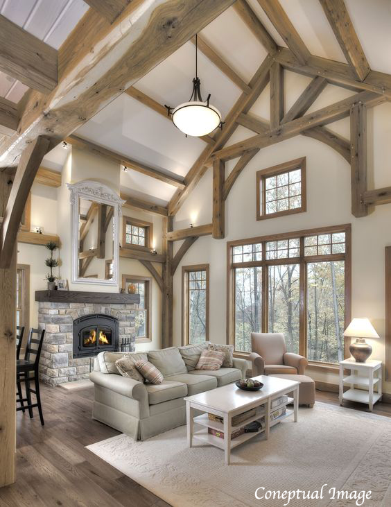 Concept Image fireplace barn2.png