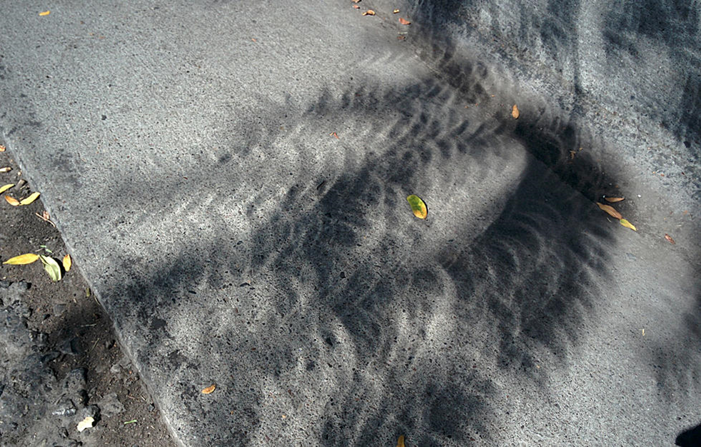 Shadows.png