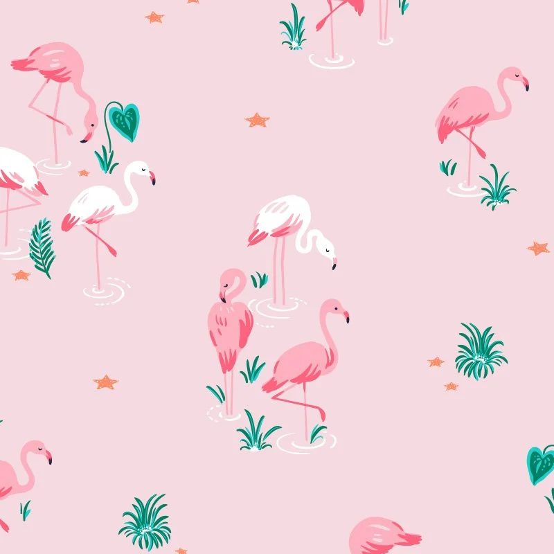 Vector Smart Object-2.jpg