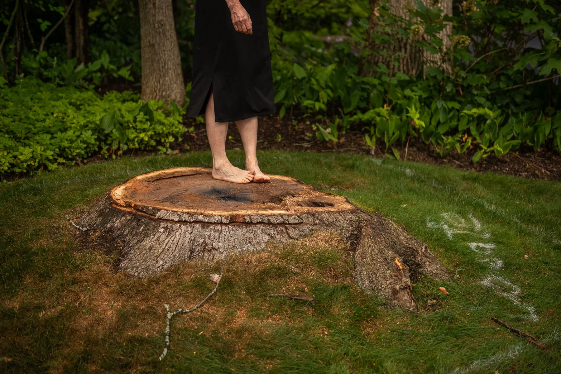 Susan_Isaacson_The Seventh Year #18-10.jpg