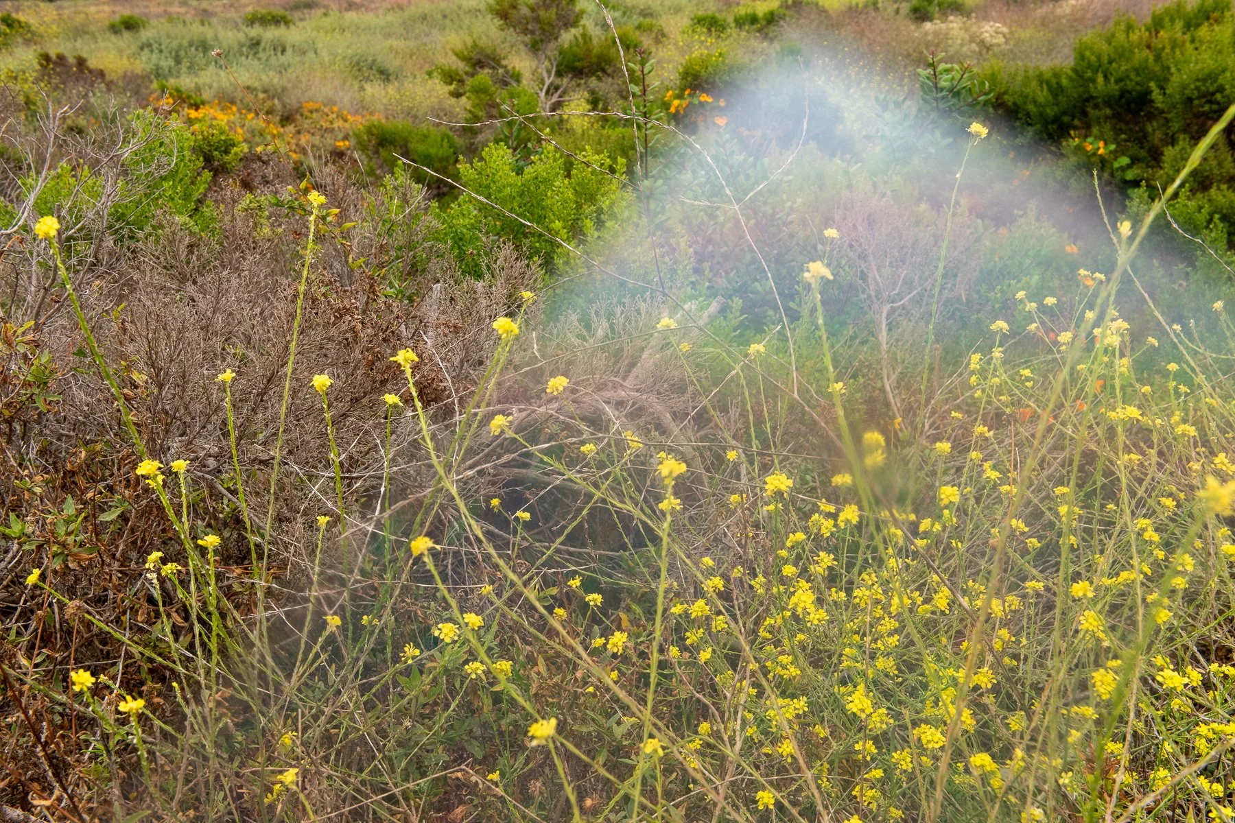 Making Rainbows-11.jpg