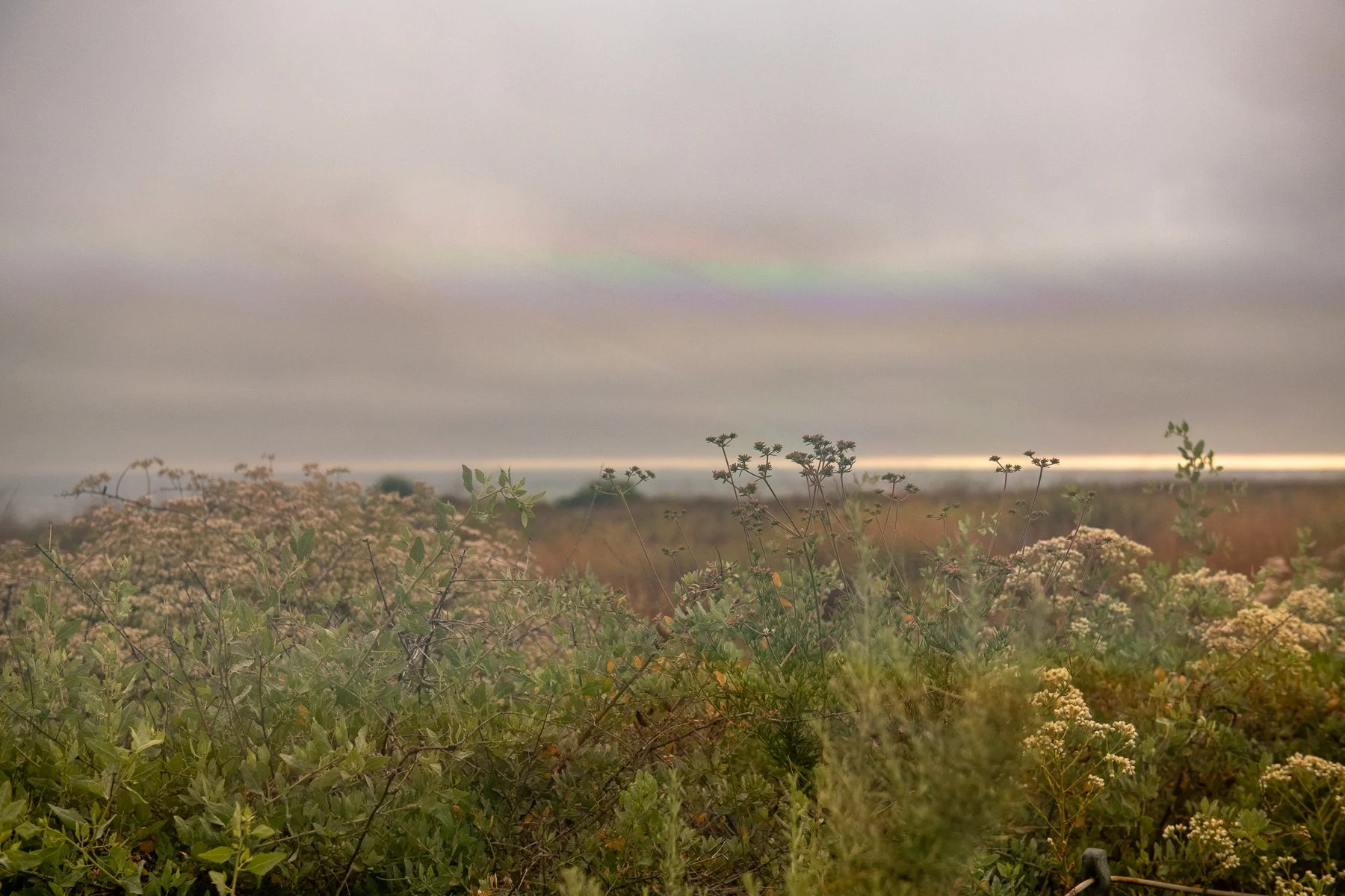 Making Rainbows-13.jpg