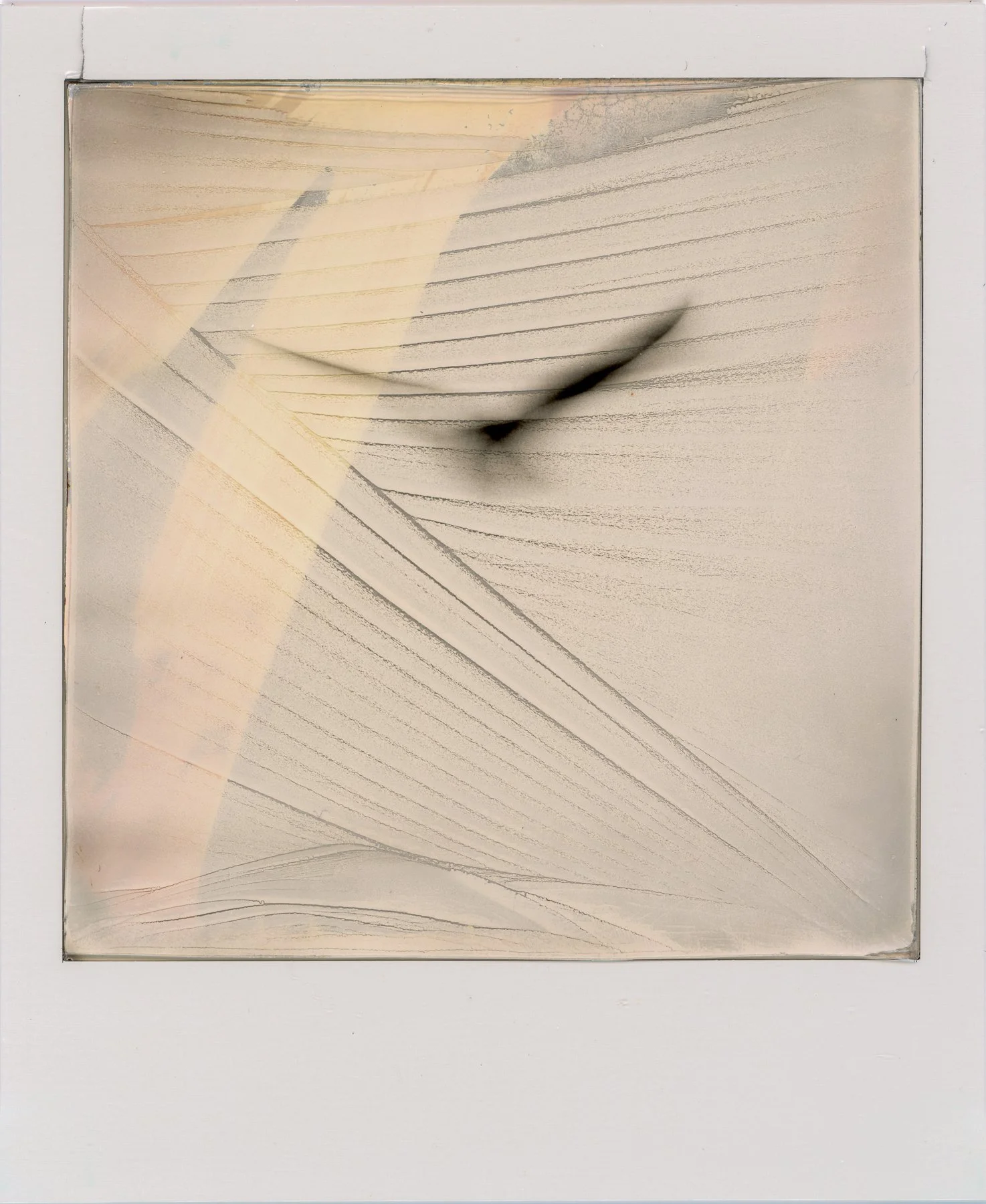 Flight Dreams-1.jpg