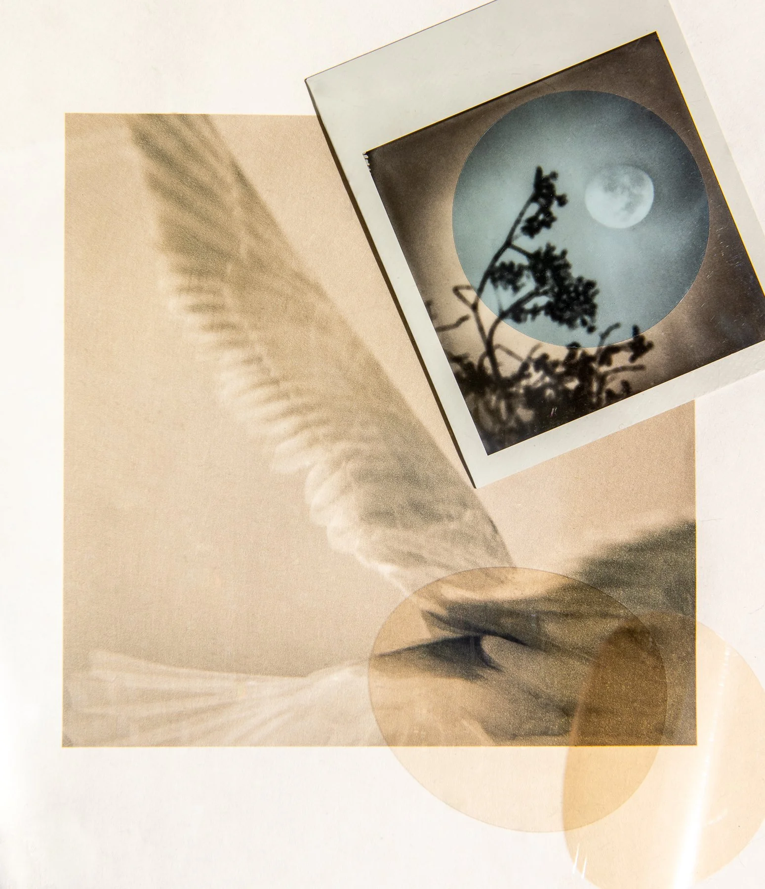 Flight Dreams-7.jpg