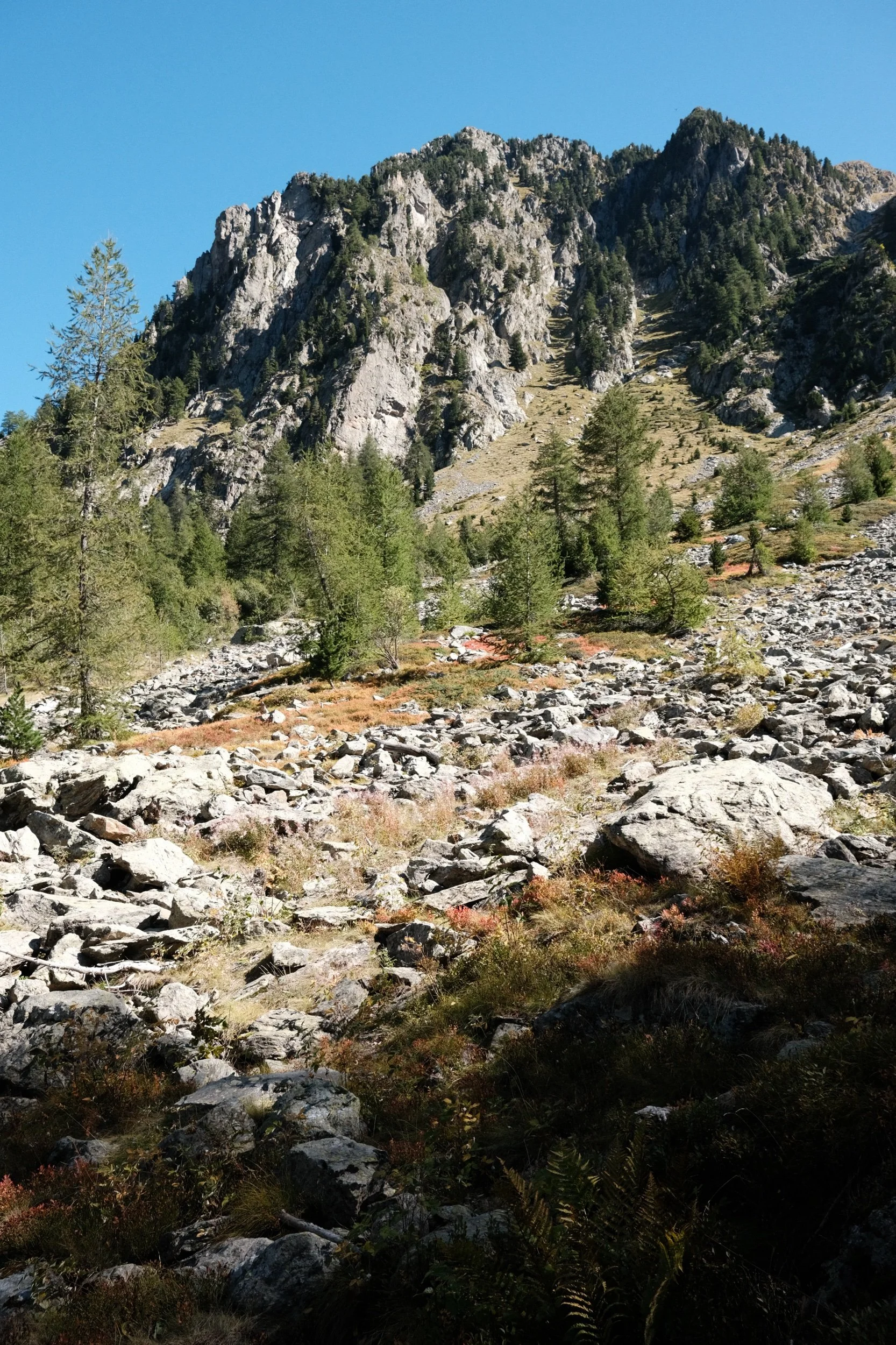 DSCF4954.jpeg