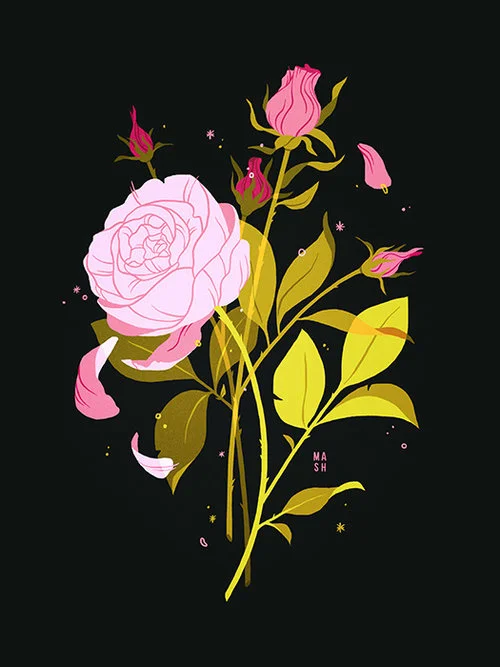 ENGLISH ROSES