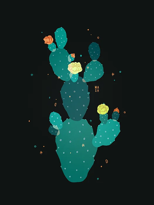 OPUNTIA CACTI