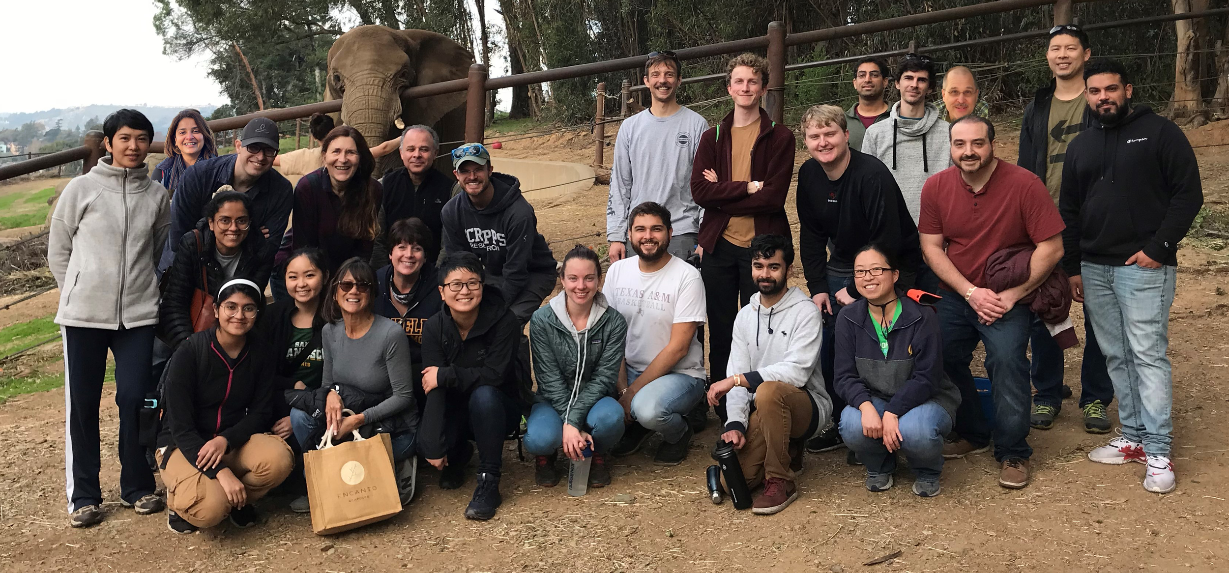  Team Spotlight with Donna the Elephant after volunteering at the Oakland Zoo in November 2021 