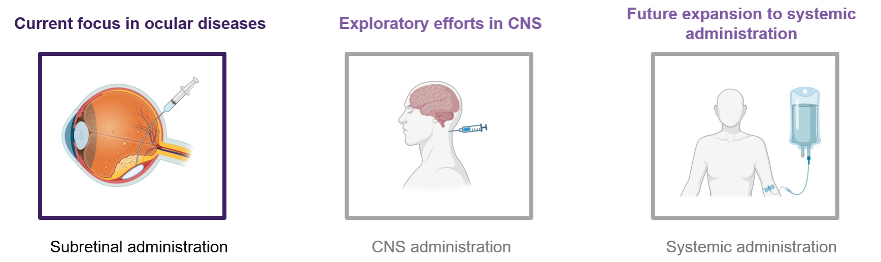 Science — Spotlight Therapeutics