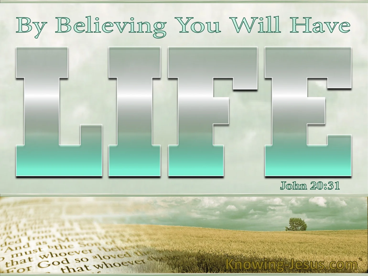 John 20-31 By Believing You WIll Have Life silver.jpg