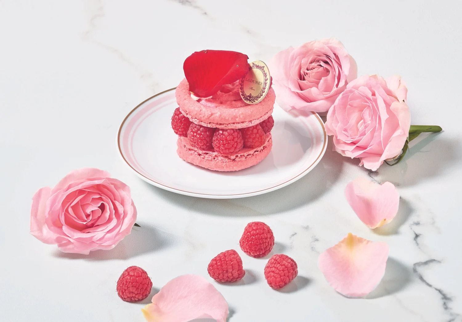 Ladurée The Authentic French Experience In New York Los