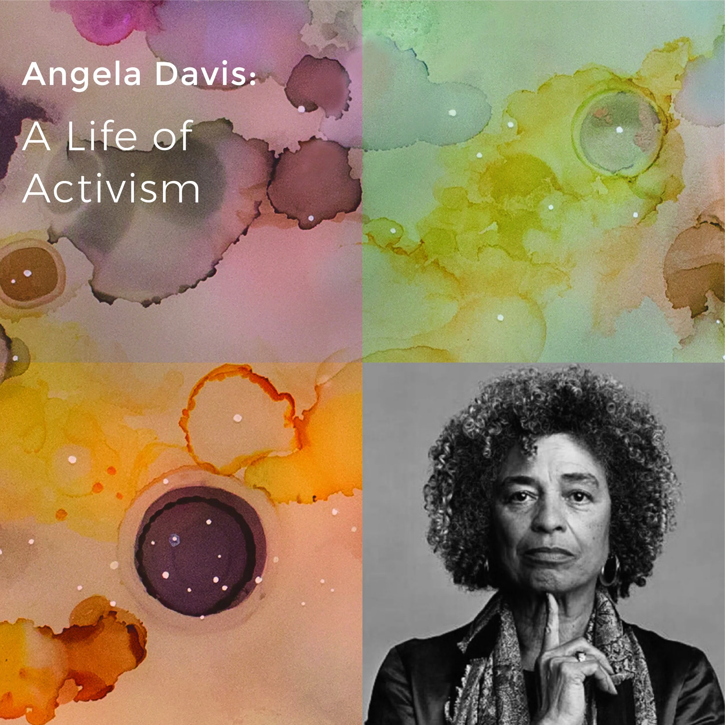 Davis_Activism-01.jpg