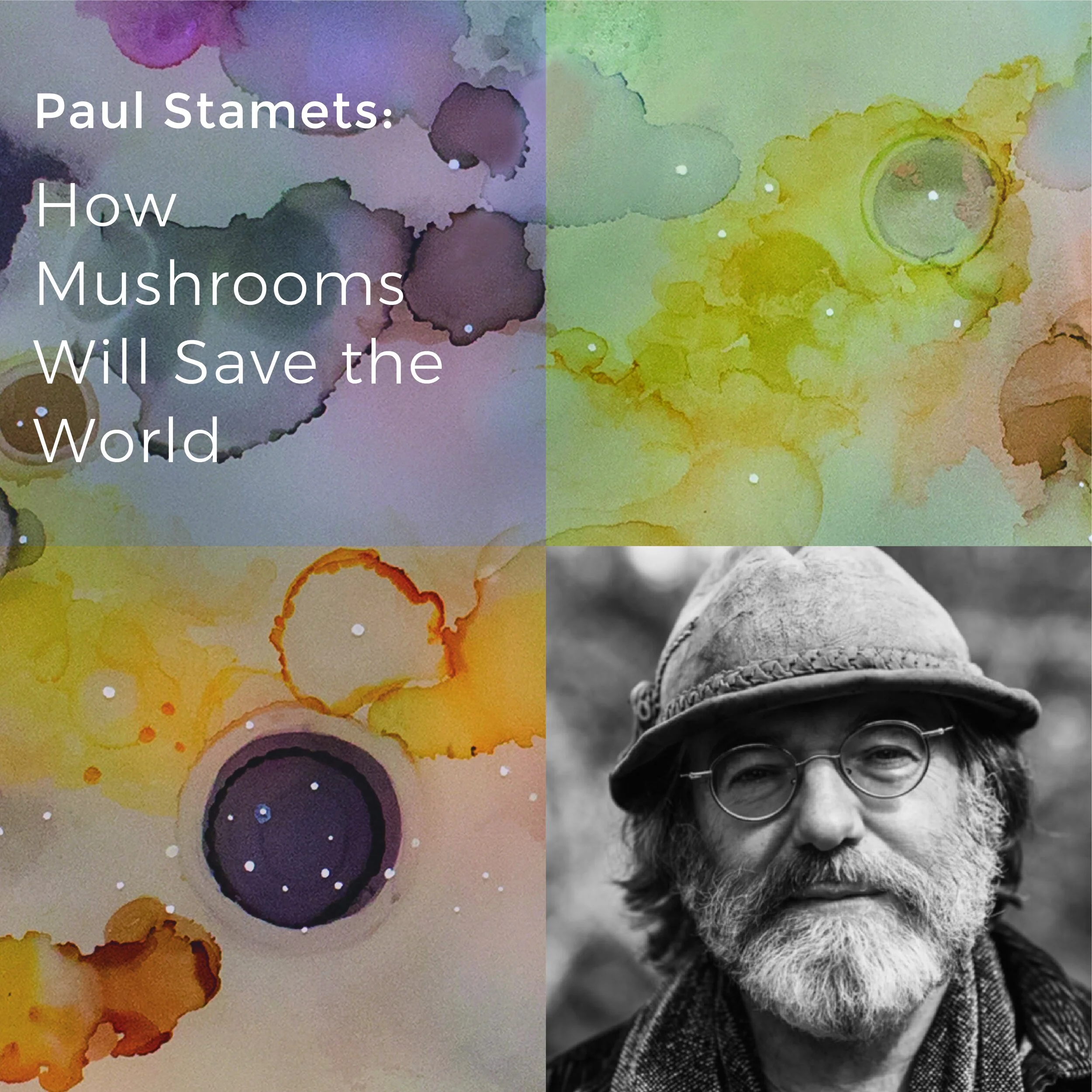 Stamets_Mushrooms Save-01.jpg