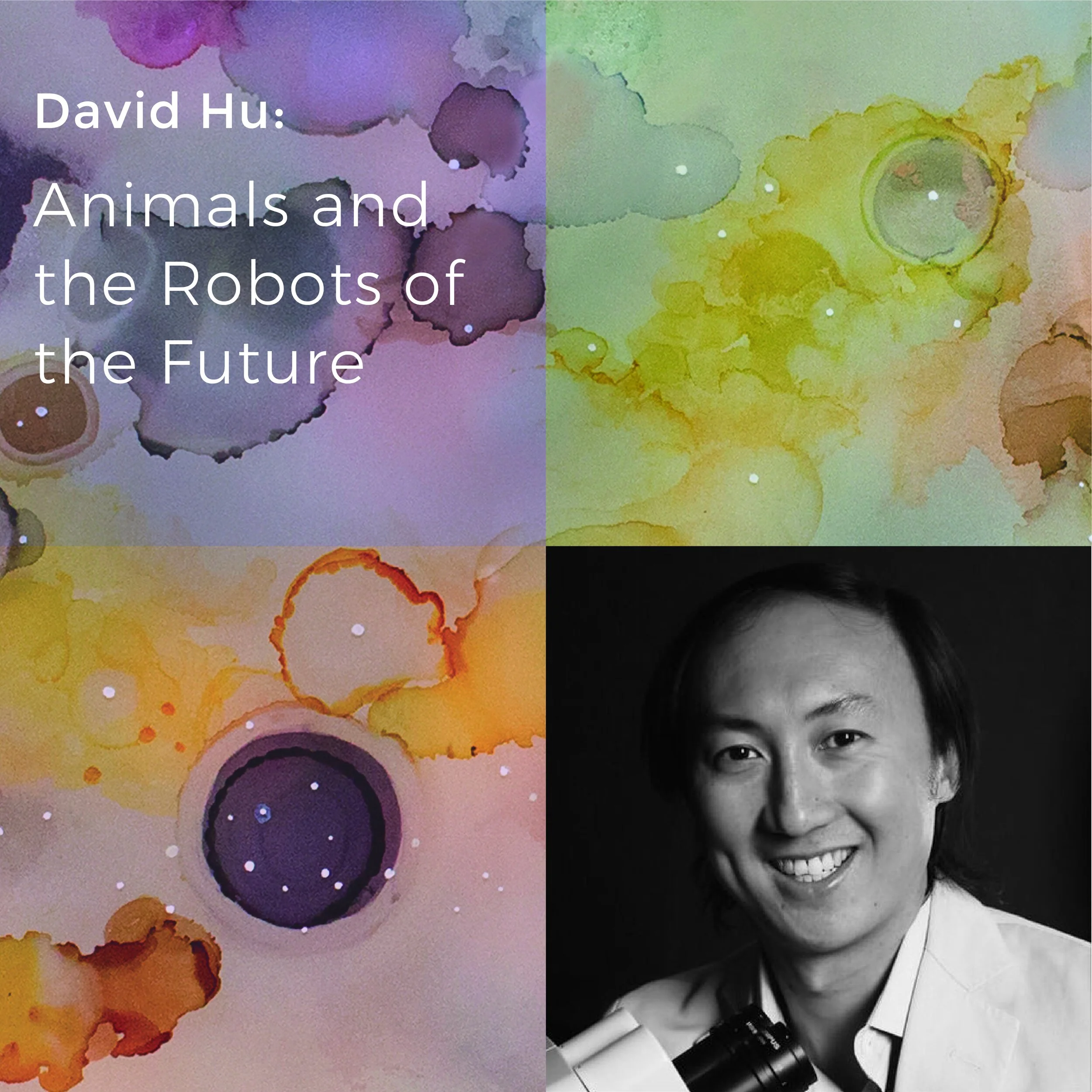 Hu_Animals-01.jpg