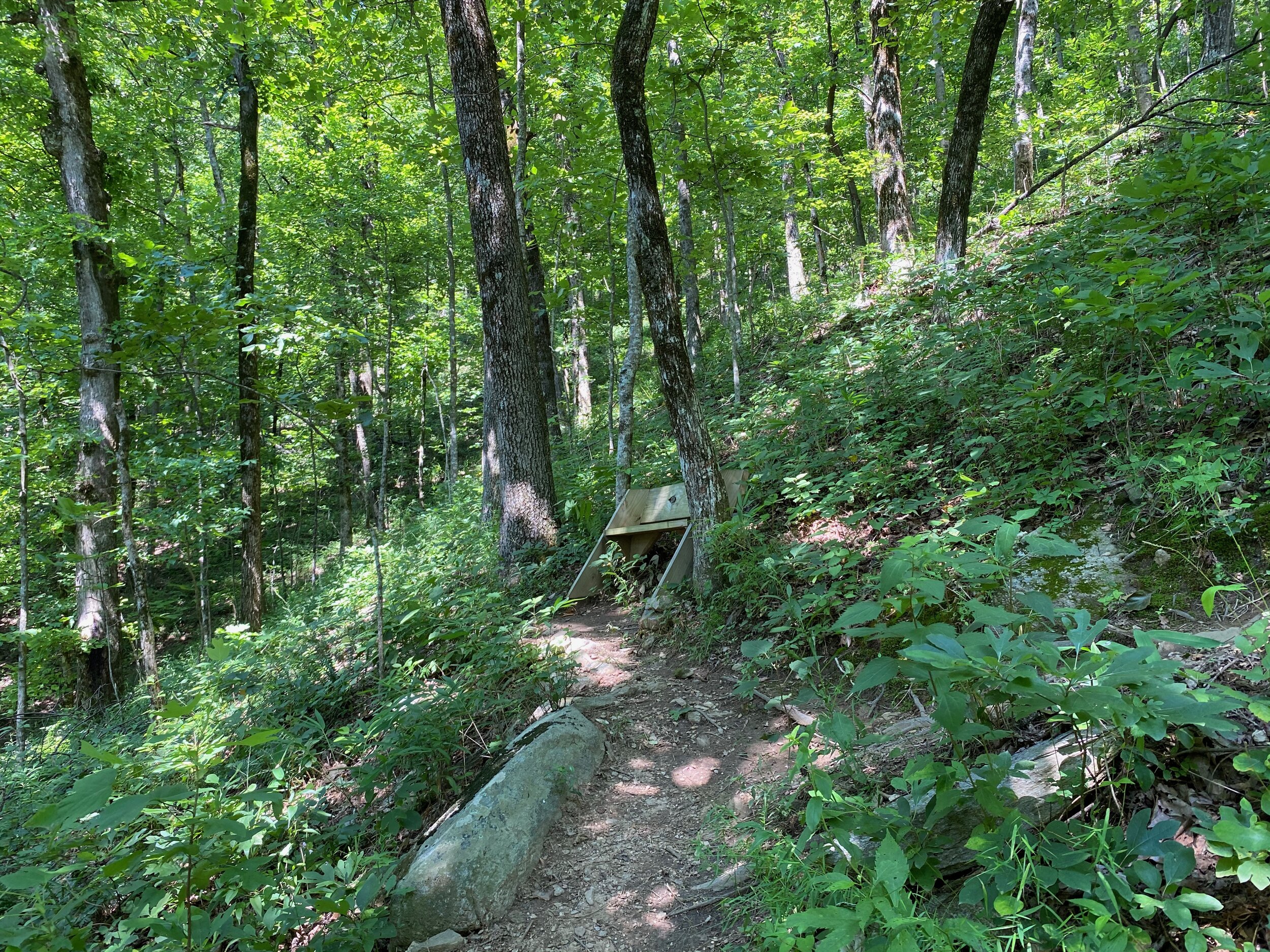 Nancy Womack Trail