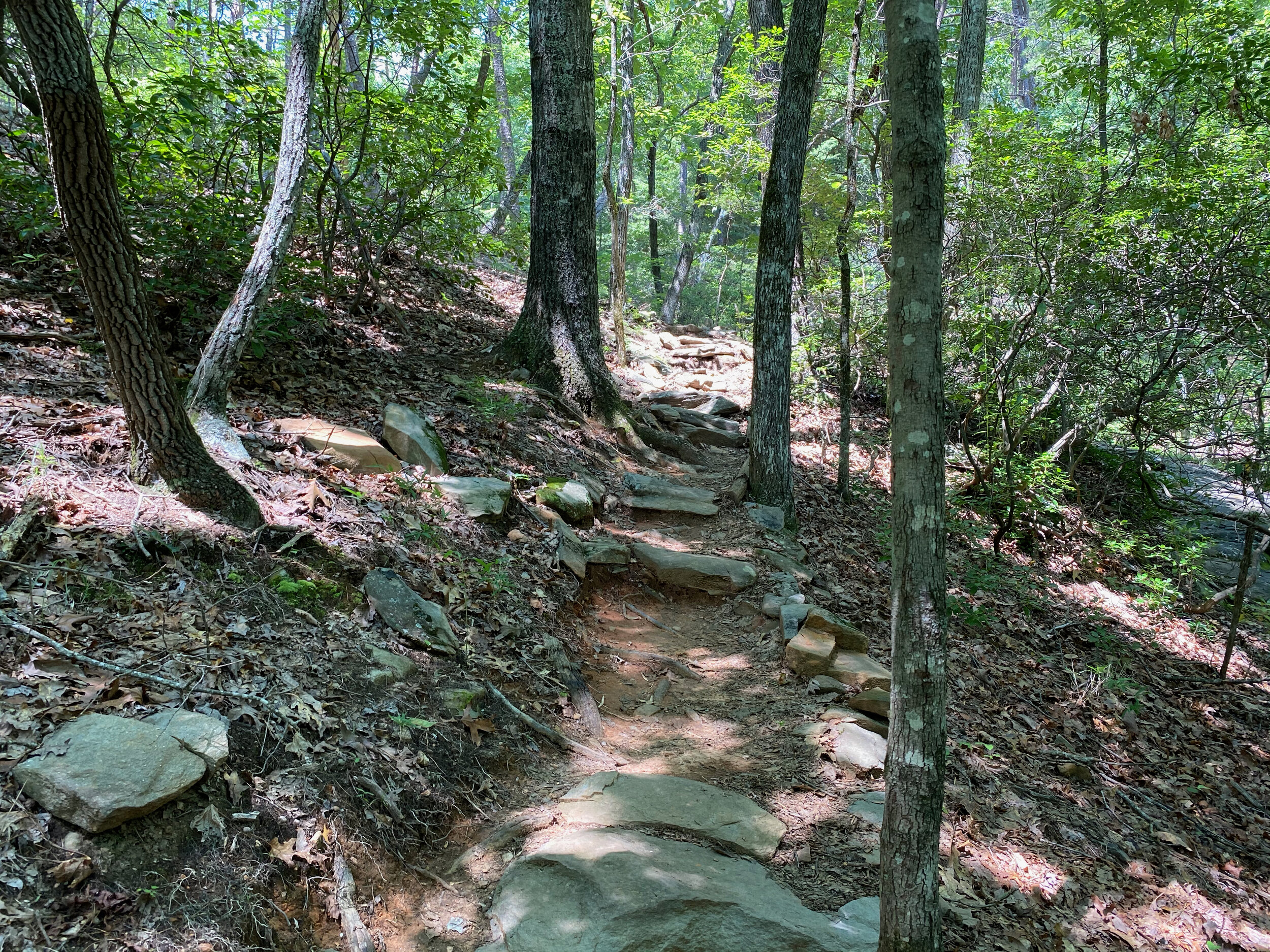 Upper Falls Trail